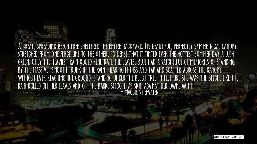 Great One Line Quotes By Maggie Stiefvater Great One Line Quotes By Maggie Stiefvater