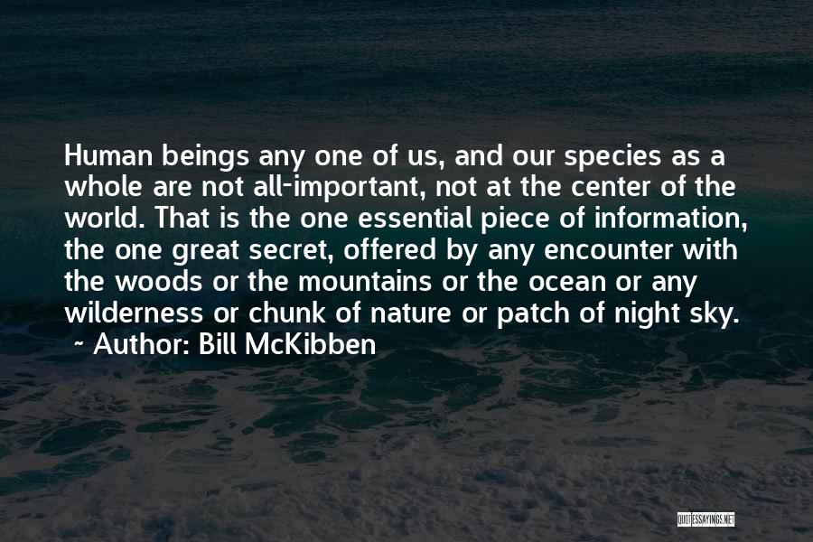 Great One Piece Quotes By Bill McKibben