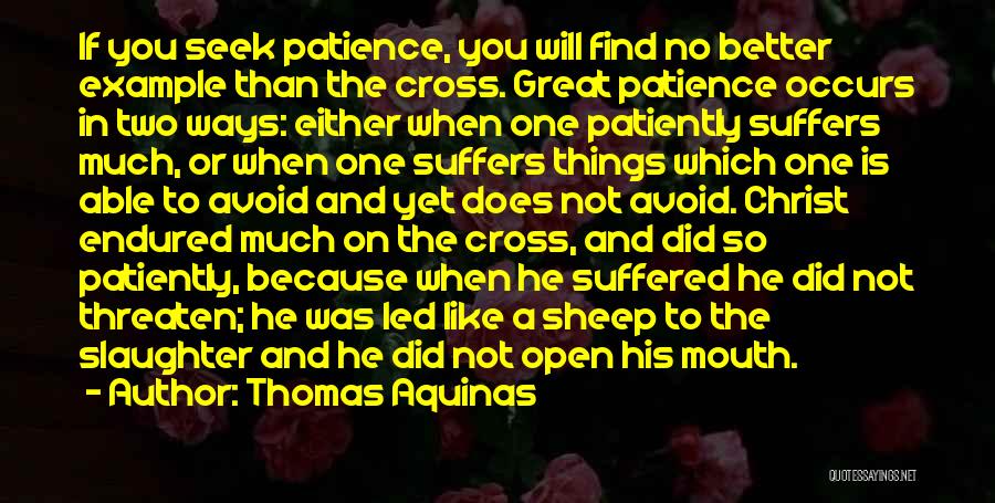 Great Patience Quotes By Thomas Aquinas