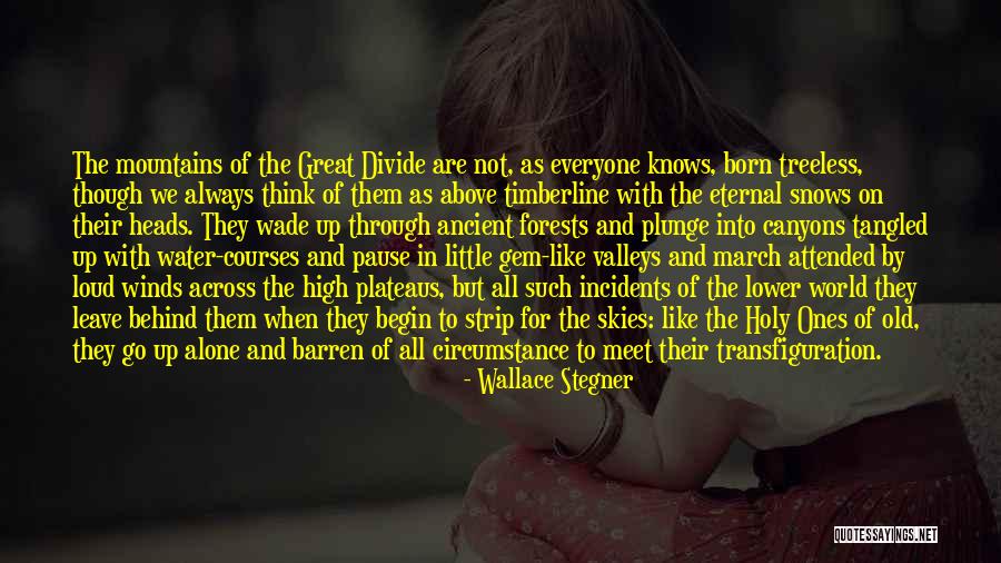 Great Pause Quotes By Wallace Stegner Great Pause Quotes By Wallace Stegner