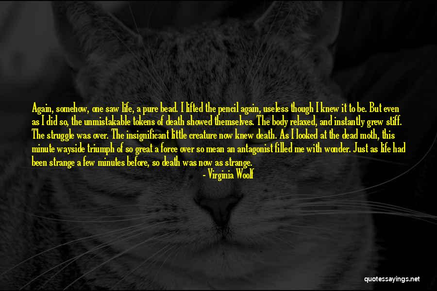 Great Pencil Quotes By Virginia Woolf Great Pencil Quotes By Virginia Woolf