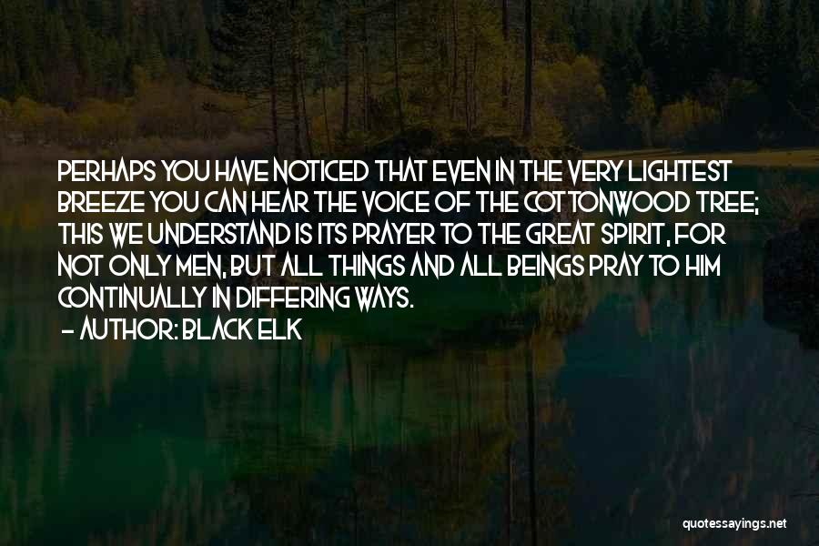 Great Perhaps Quotes By Black Elk