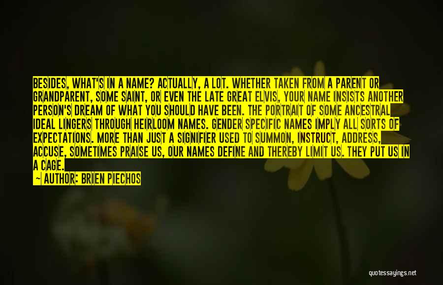 Great Person Quotes By Brien Piechos