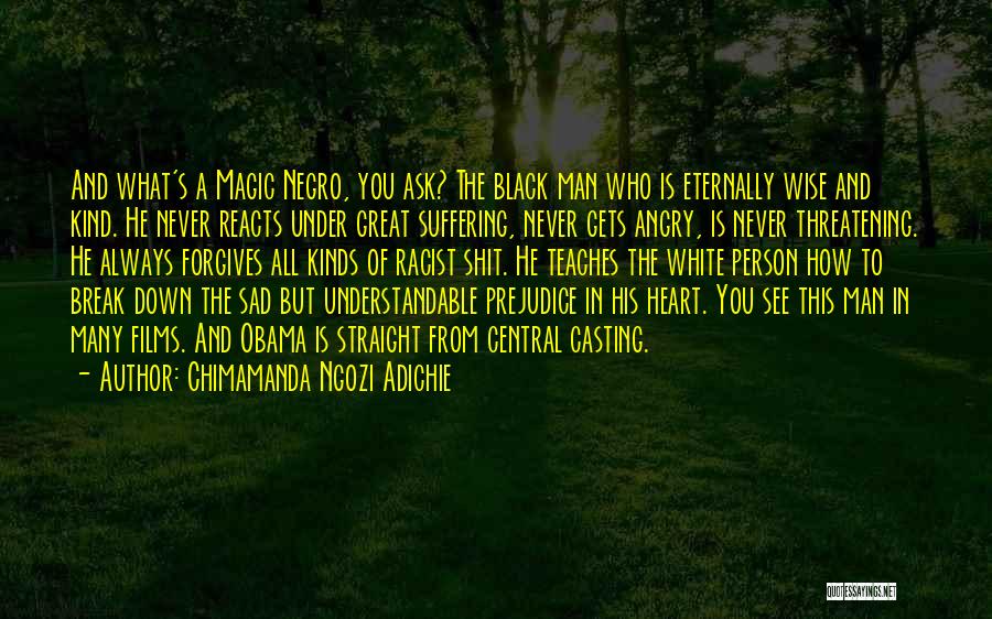 Great Person Quotes By Chimamanda Ngozi Adichie