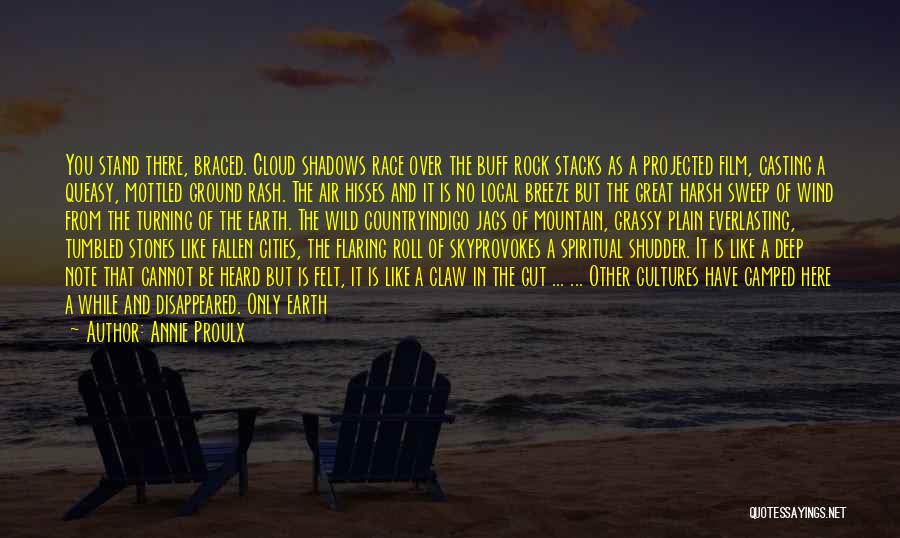 Great Plain Quotes By Annie Proulx
