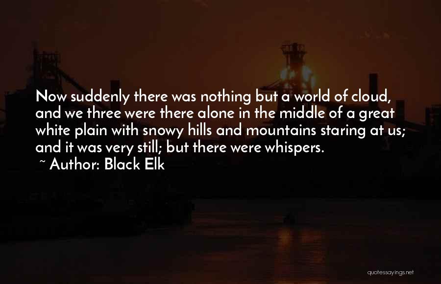 Great Plain Quotes By Black Elk