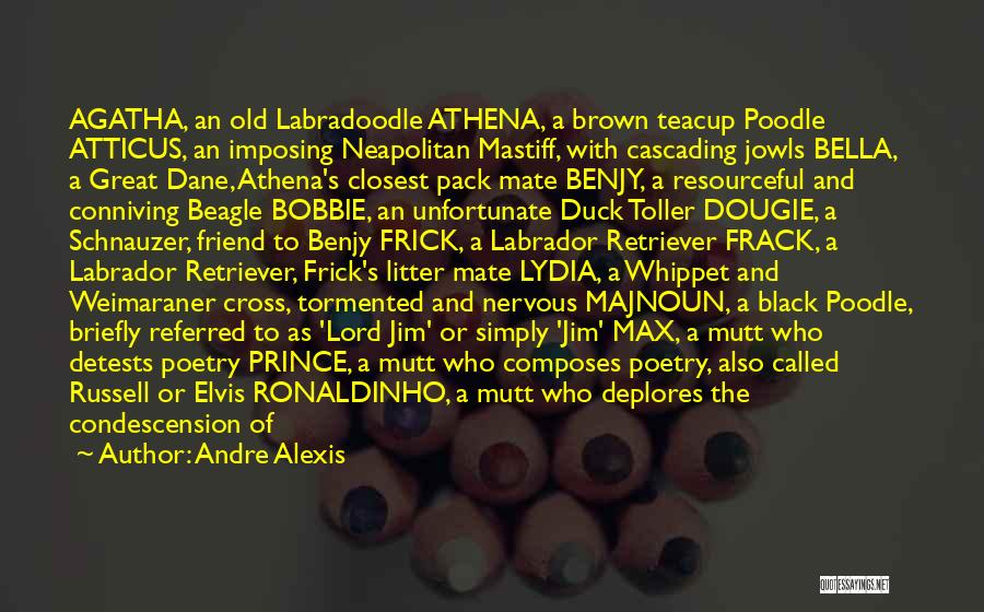 Great Poetry Quotes By Andre Alexis