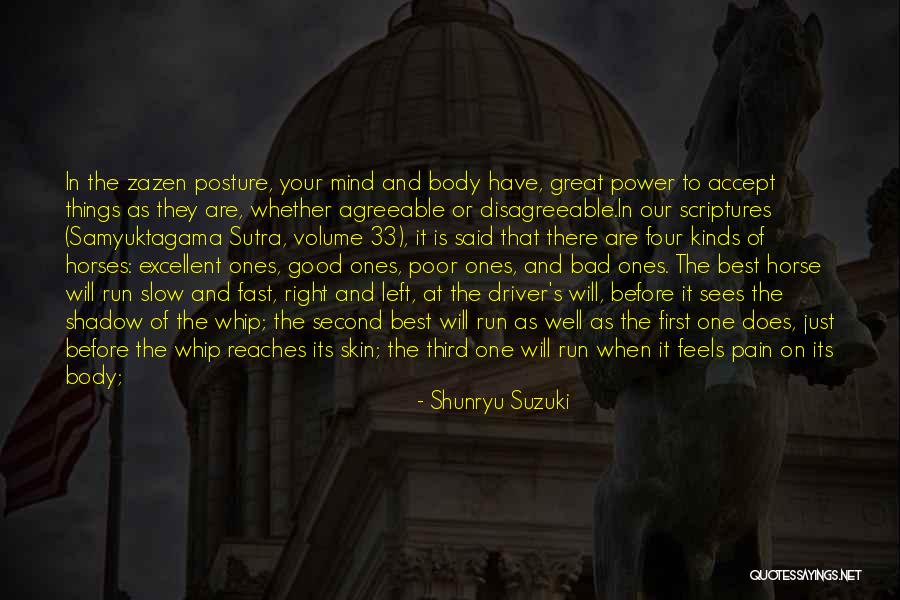 Great Posture Quotes By Shunryu Suzuki Great Posture Quotes By Shunryu Suzuki
