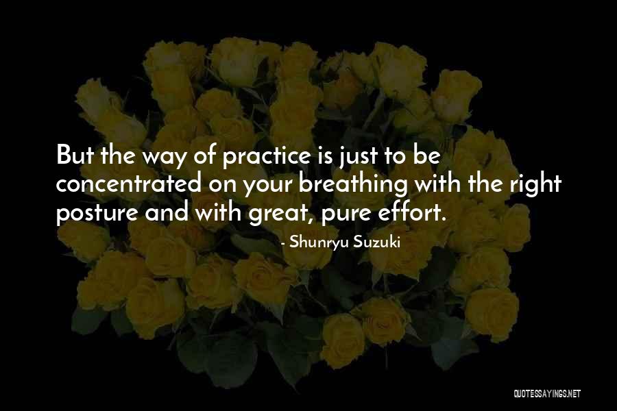 Great Posture Quotes By Shunryu Suzuki Great Posture Quotes By Shunryu Suzuki