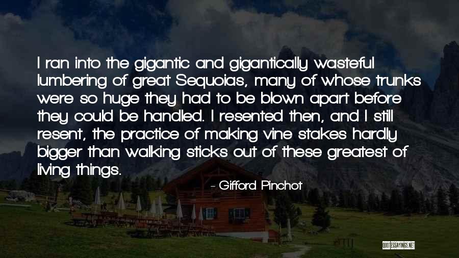 Great Practice Quotes By Gifford Pinchot Great Practice Quotes By Gifford Pinchot