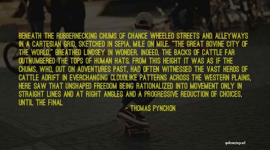 Great Progressive Quotes By Thomas Pynchon Great Progressive Quotes By Thomas Pynchon