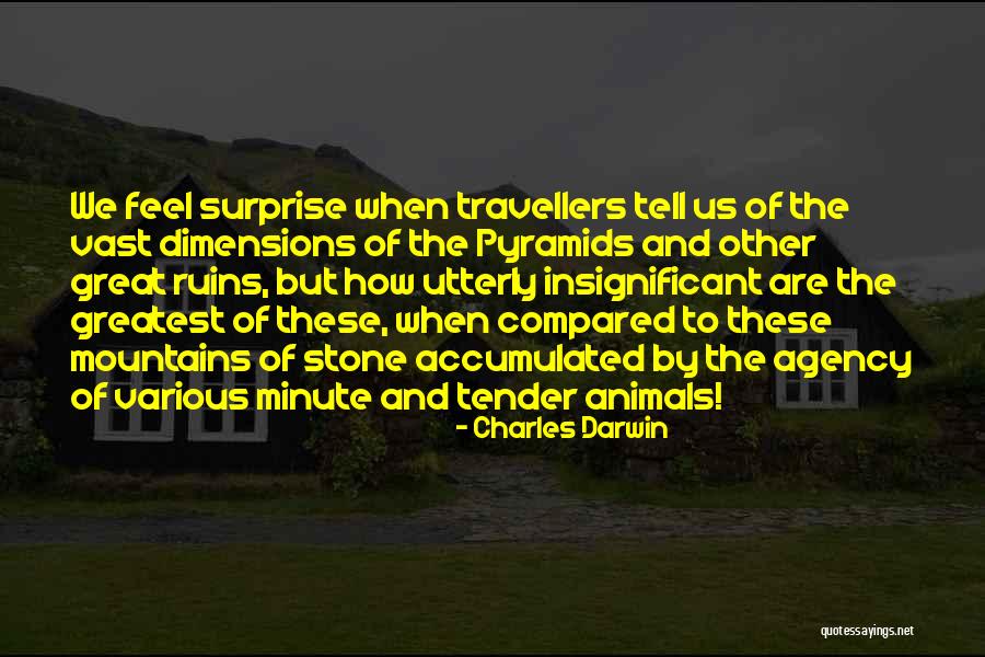 Great Pyramids Quotes By Charles Darwin Great Pyramids Quotes By Charles Darwin