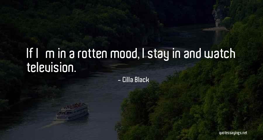 Great Referral Quotes By Cilla Black Great Referral Quotes By Cilla Black