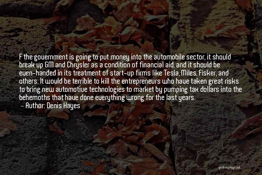 Great Risks Quotes By Denis Hayes