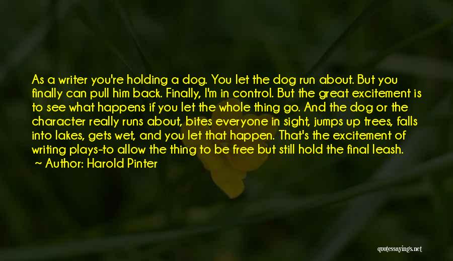 Great Running Back Quotes By Harold Pinter