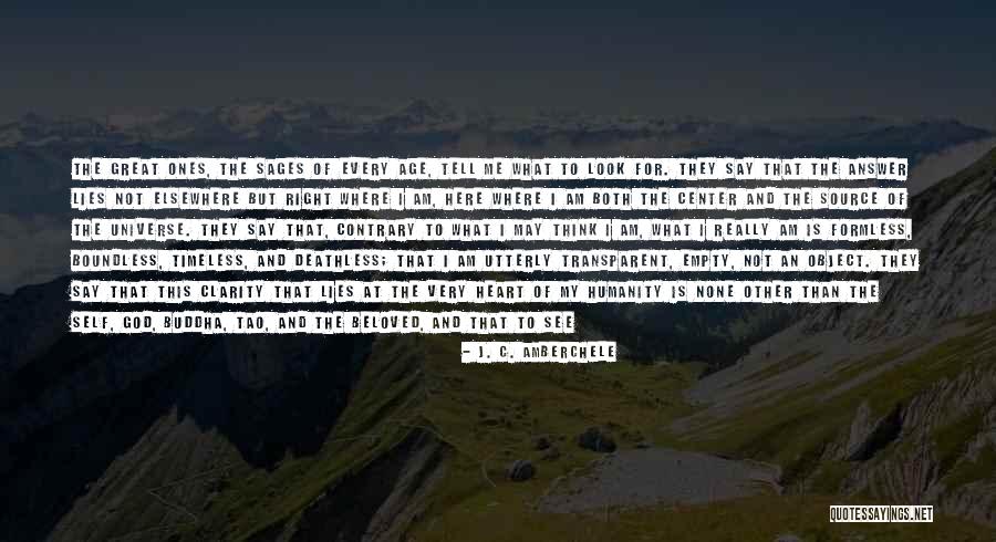 Great Sages Quotes By J. C. Amberchele Great Sages Quotes By J. C. Amberchele