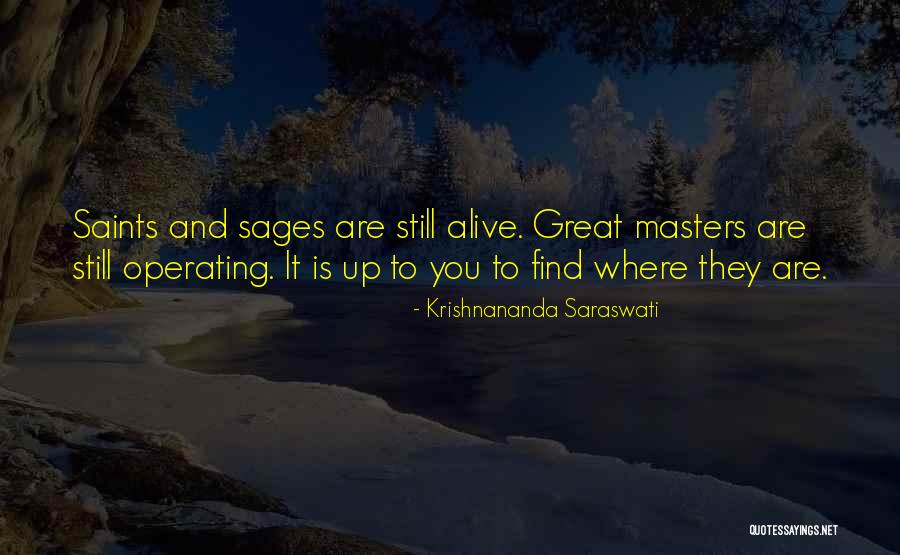 Great Sages Quotes By Krishnananda Saraswati Great Sages Quotes By Krishnananda Saraswati