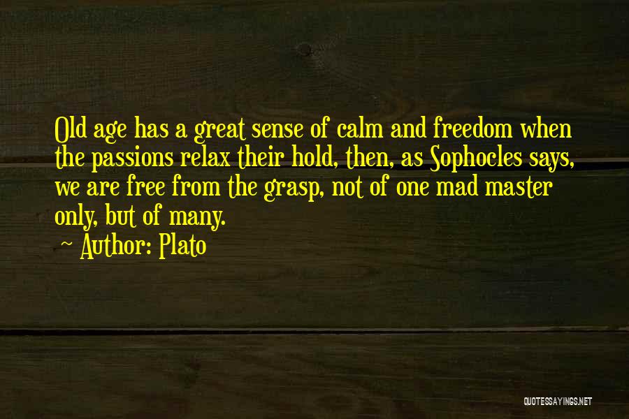 Great Says Quotes By Plato