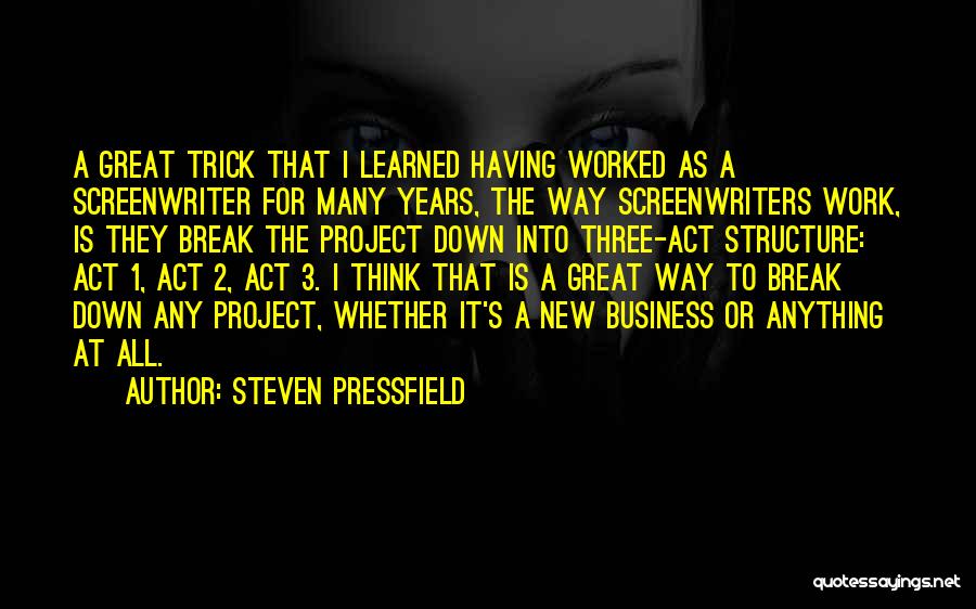 Great Screenwriter Quotes By Steven Pressfield