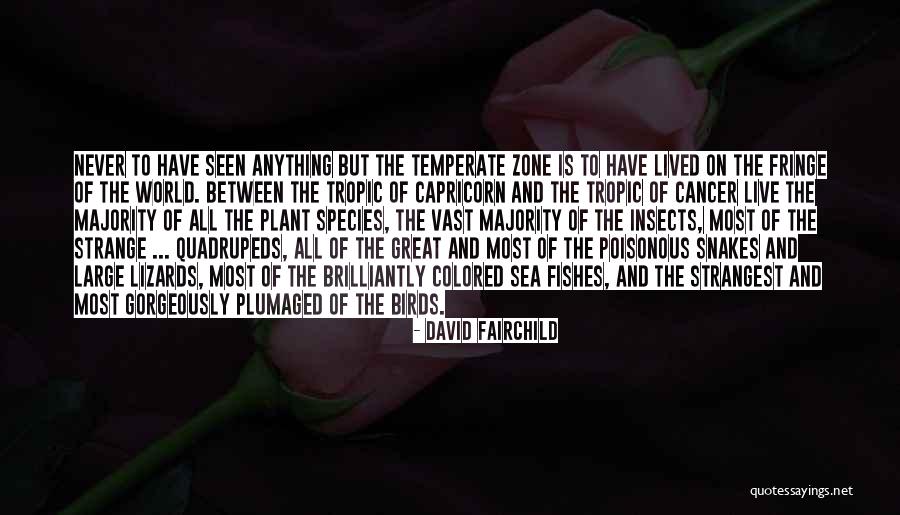 Great Sea Quotes By David Fairchild Great Sea Quotes By David Fairchild