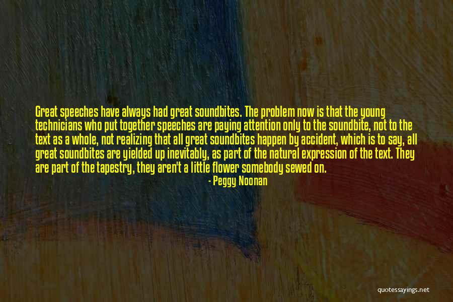 Great Speeches Quotes By Peggy Noonan Great Speeches Quotes By Peggy Noonan