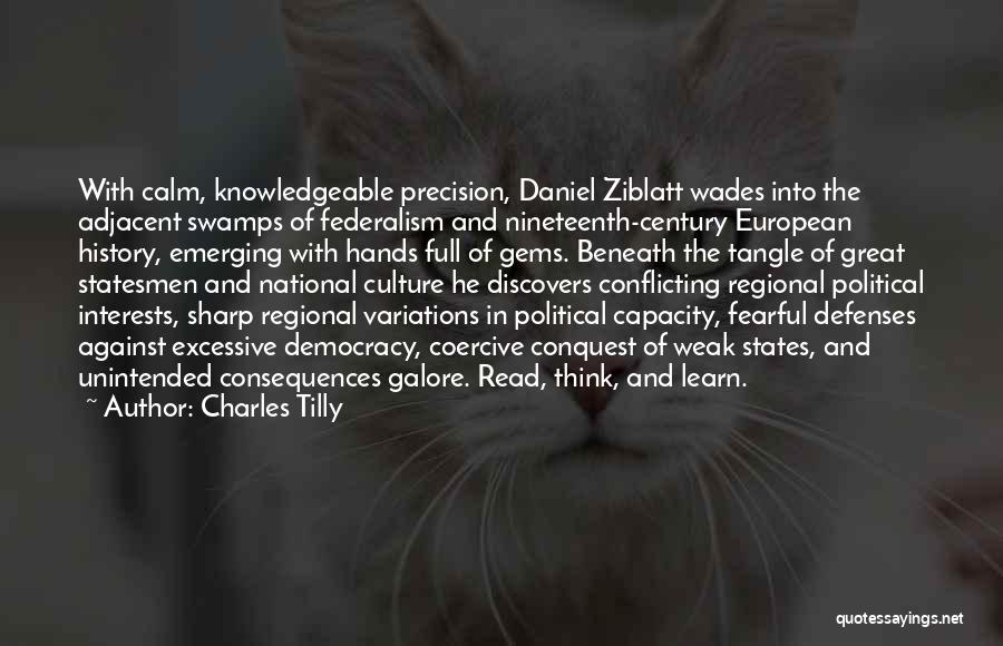 Great Statesmen Quotes By Charles Tilly