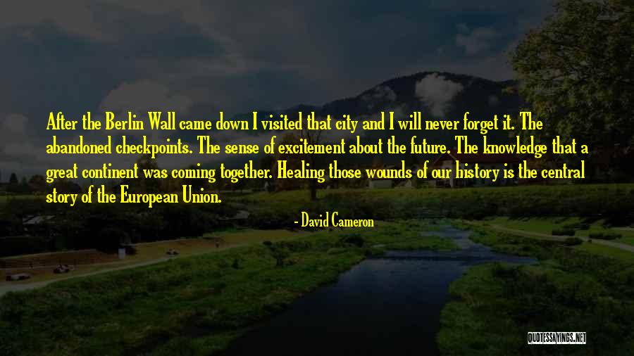 Great Story Quotes By David Cameron