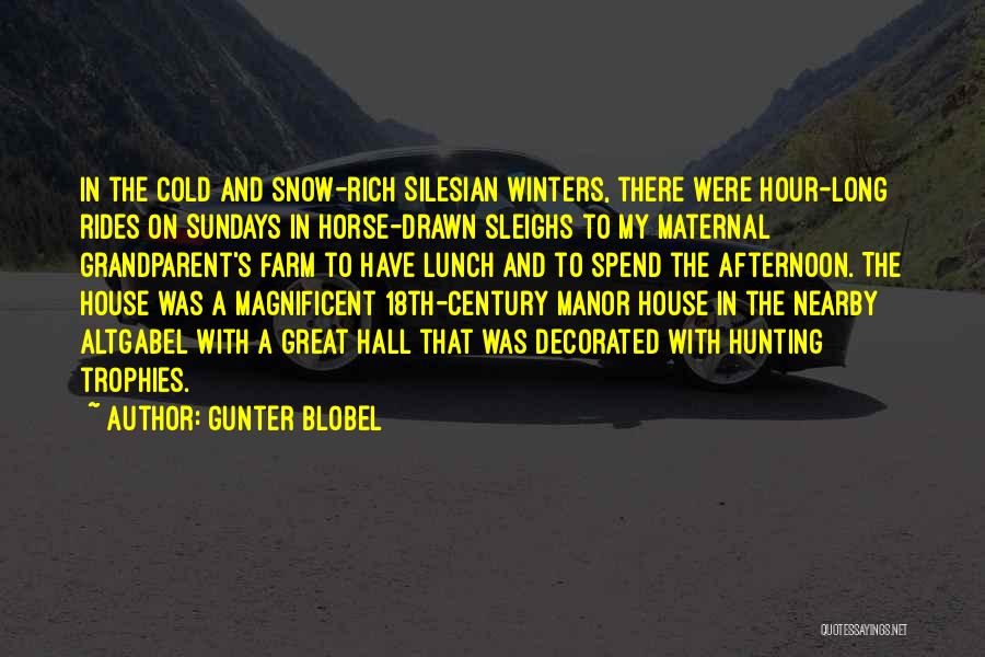 Great Sundays Quotes By Gunter Blobel