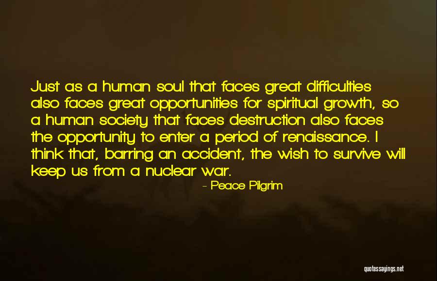 Great Survive Quotes By Peace Pilgrim