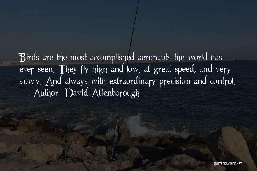 Great Things Are Accomplished Quotes By David Attenborough