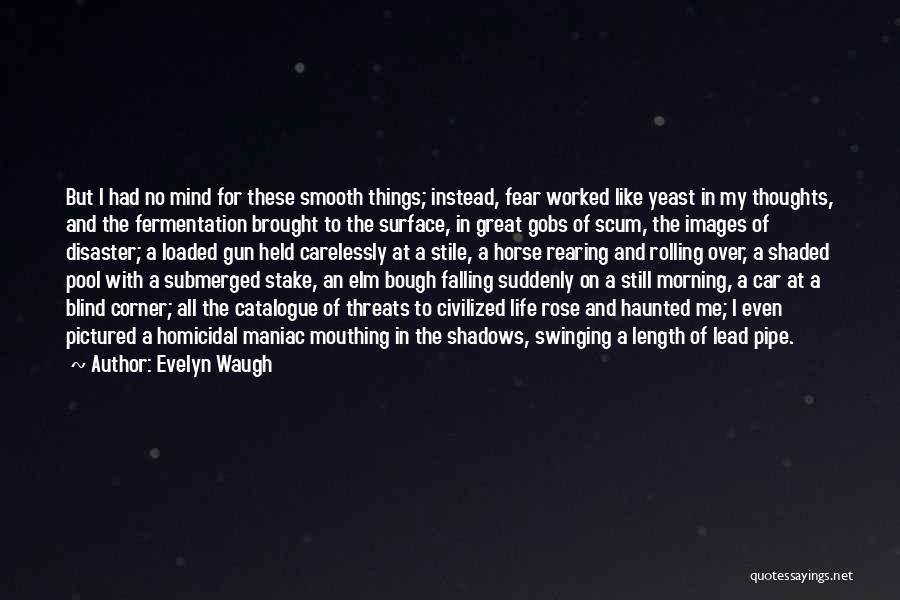 Great Things In Life Quotes By Evelyn Waugh