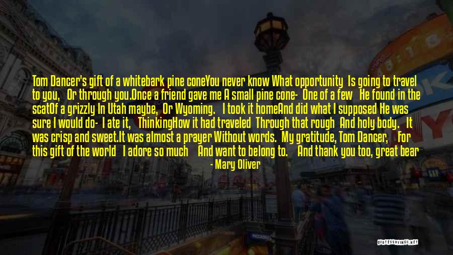 Great Travel Quotes By Mary Oliver Great Travel Quotes By Mary Oliver