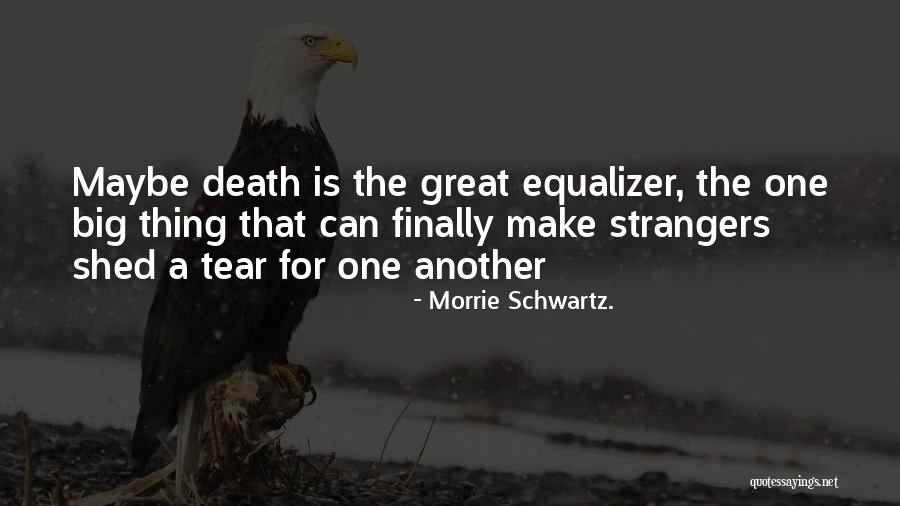 Great Tuesdays Quotes By Morrie Schwartz. Great Tuesdays Quotes By Morrie Schwartz.