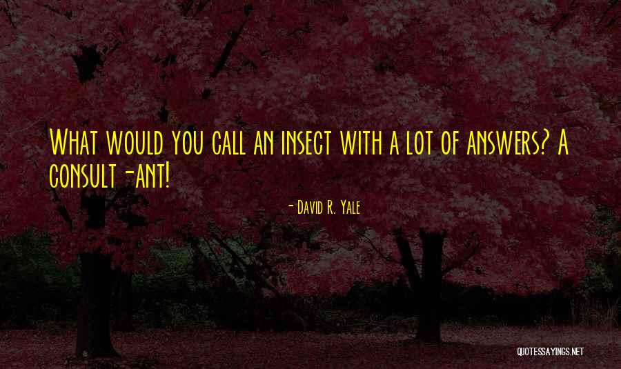 Great Uncle Ford Quotes By David R. Yale