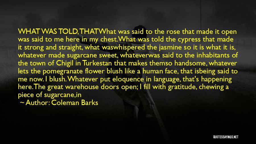 Great Warehouse Quotes By Coleman Barks