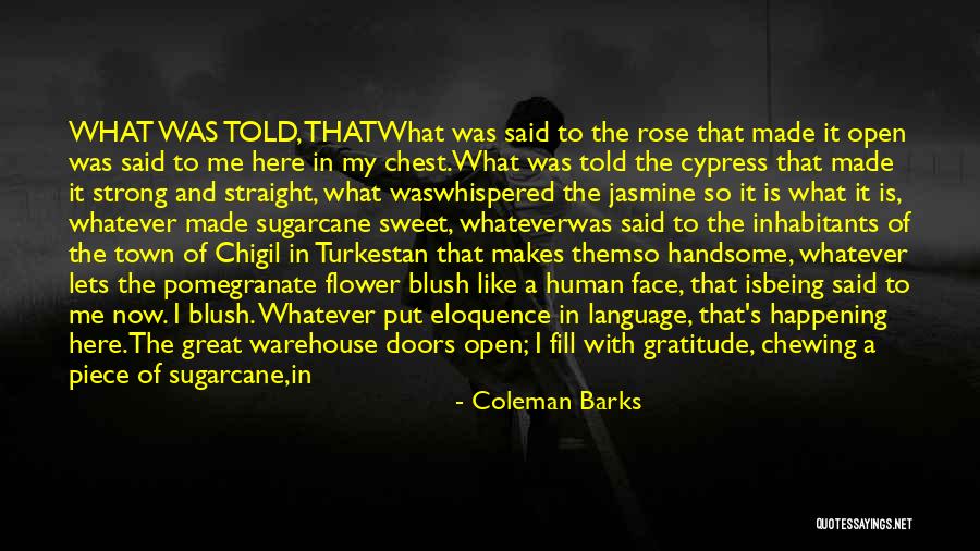 Great Warehouse Quotes By Coleman Barks