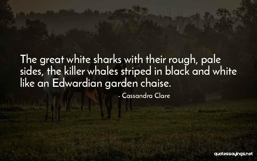 Great White Sharks Quotes By Cassandra Clare Great White Sharks Quotes By Cassandra Clare