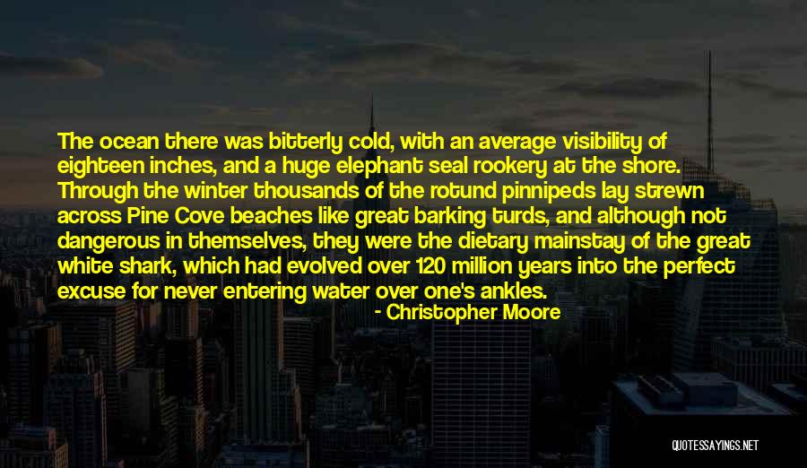 Great White Sharks Quotes By Christopher Moore Great White Sharks Quotes By Christopher Moore