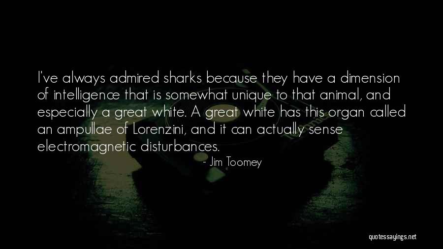 Great White Sharks Quotes By Jim Toomey Great White Sharks Quotes By Jim Toomey