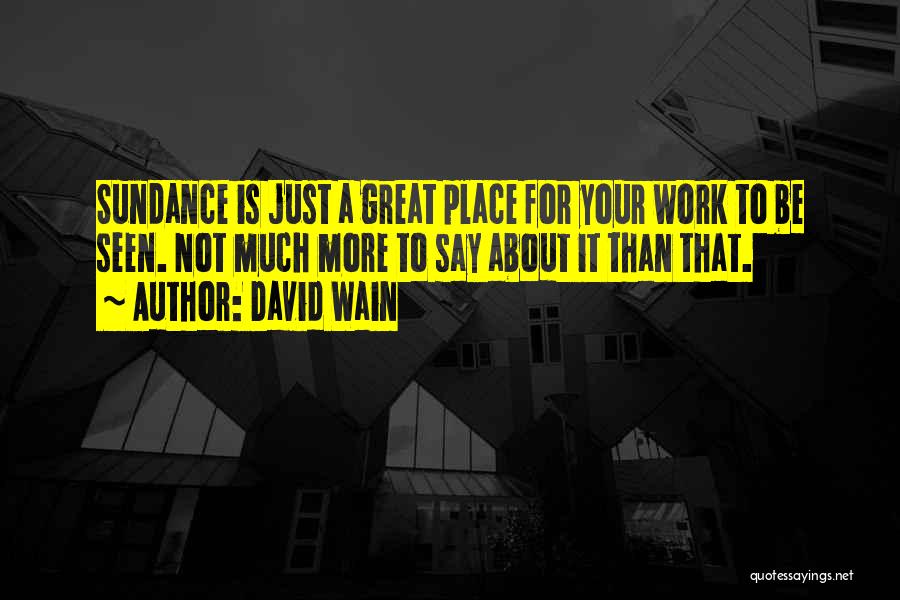 Great Work Place Quotes By David Wain