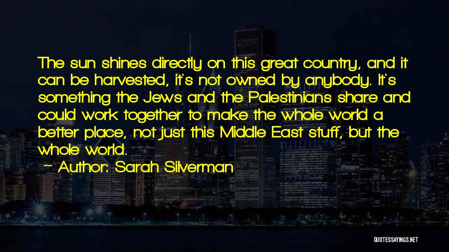 Great Work Place Quotes By Sarah Silverman