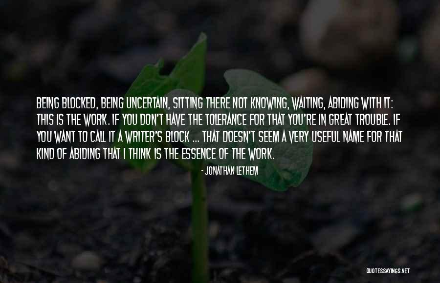 Great Writer Quotes By Jonathan Lethem Great Writer Quotes By Jonathan Lethem
