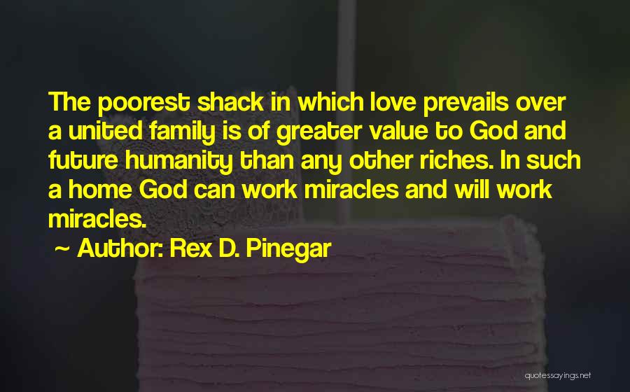 Greater Future Quotes By Rex D. Pinegar