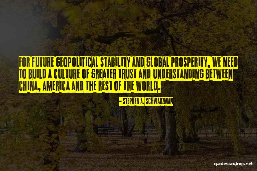 Greater Future Quotes By Stephen A. Schwarzman