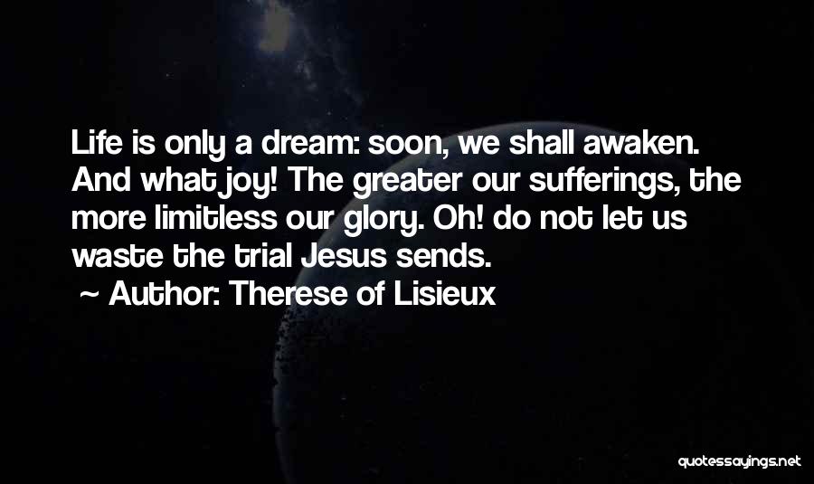 Greater Glory Quotes By Therese Of Lisieux