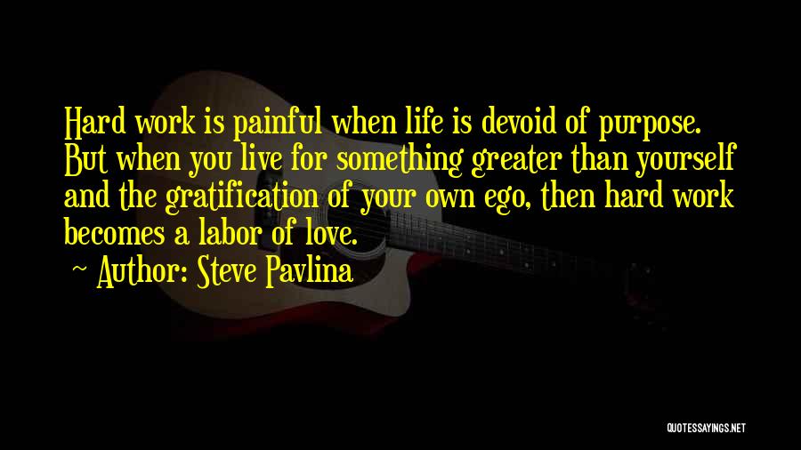 Greater Love Quotes By Steve Pavlina