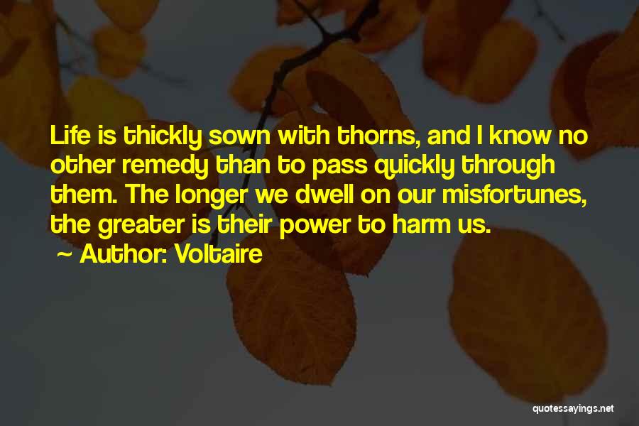 Greater Power Quotes By Voltaire