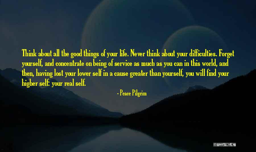 Greater Than Yourself Quotes By Peace Pilgrim