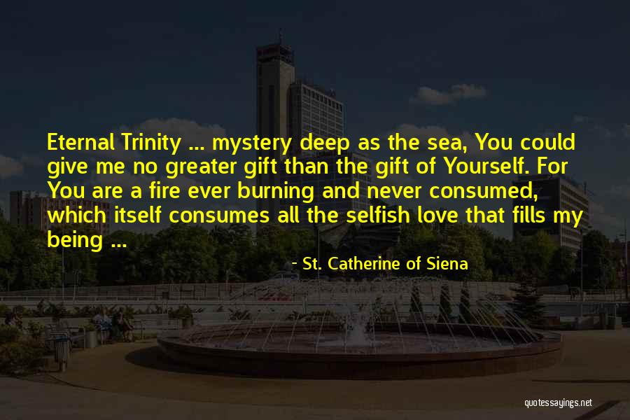 Greater Than Yourself Quotes By St. Catherine Of Siena Greater Than Yourself Quotes By St. Catherine Of Siena