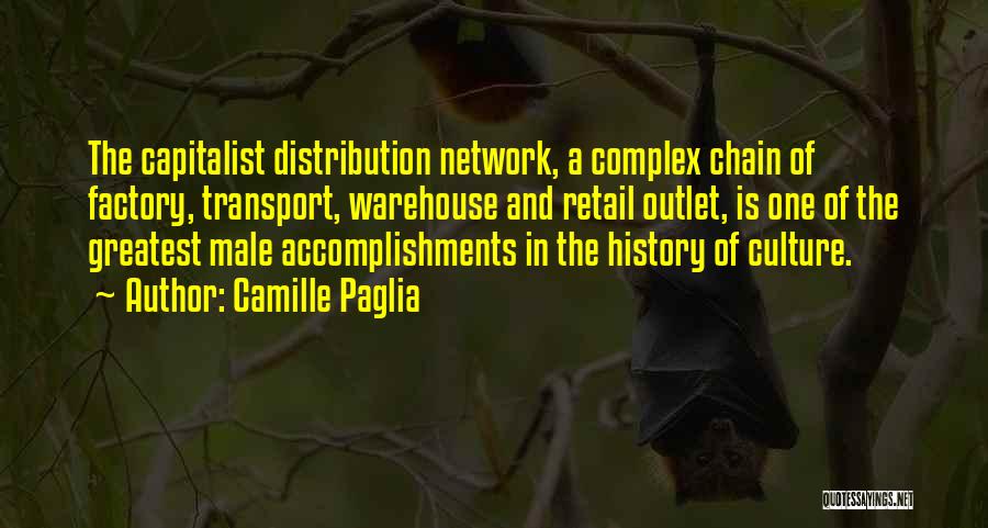 Greatest Accomplishments Quotes By Camille Paglia